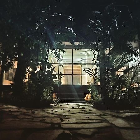 Canto De La Selva Jungle Lodge Selva Lacandona Chiapas Galaxia 外观 照片