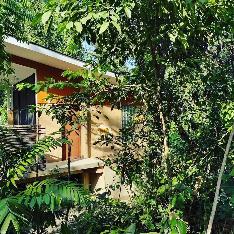 Canto De La Selva Jungle Lodge Selva Lacandona Chiapas Galaxia 外观 照片