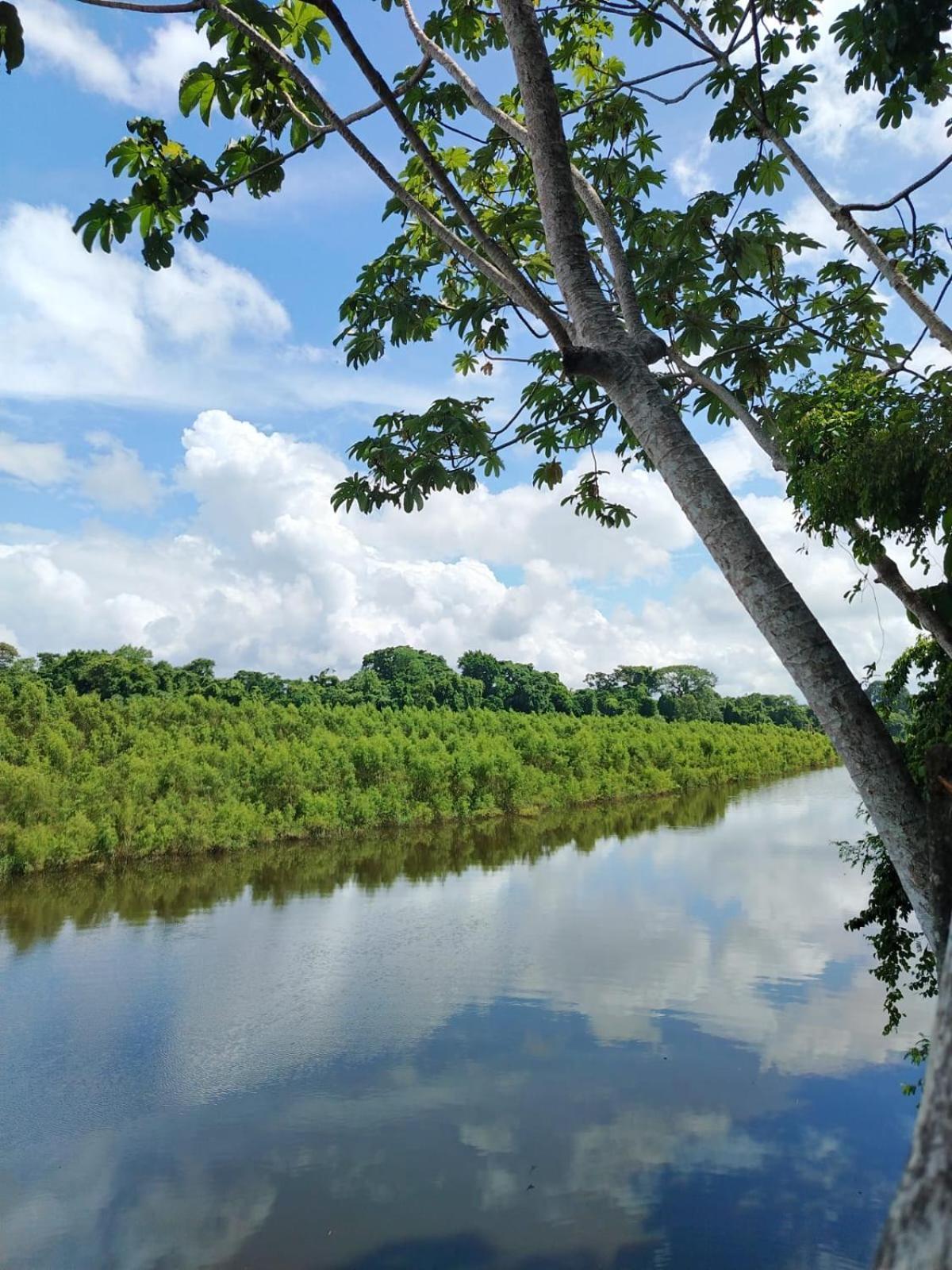 Canto De La Selva Jungle Lodge Selva Lacandona Chiapas Galaxia 外观 照片